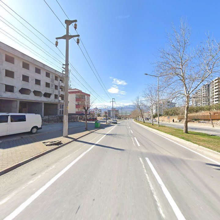 Fotoğraf 8