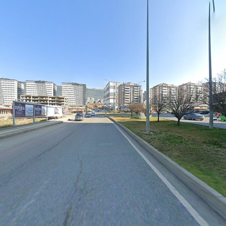 Fotoğraf 15