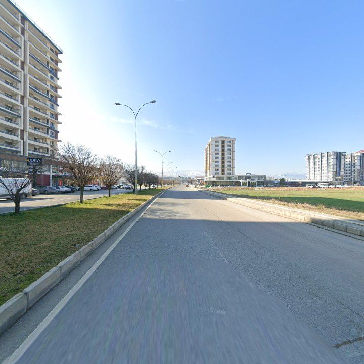 Fotoğraf 17