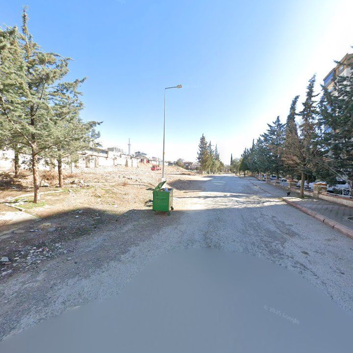 Fotoğraf 8
