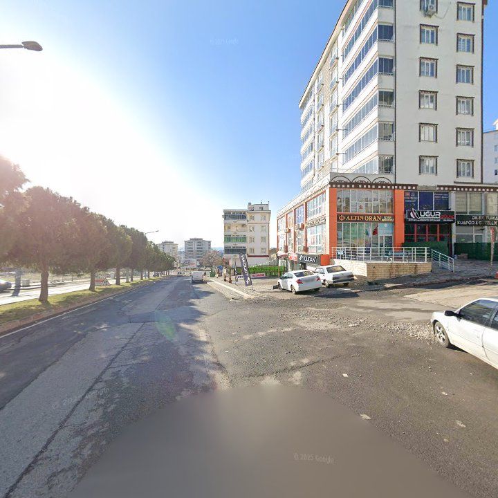Fotoğraf 11