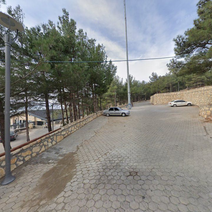 Fotoğraf 10