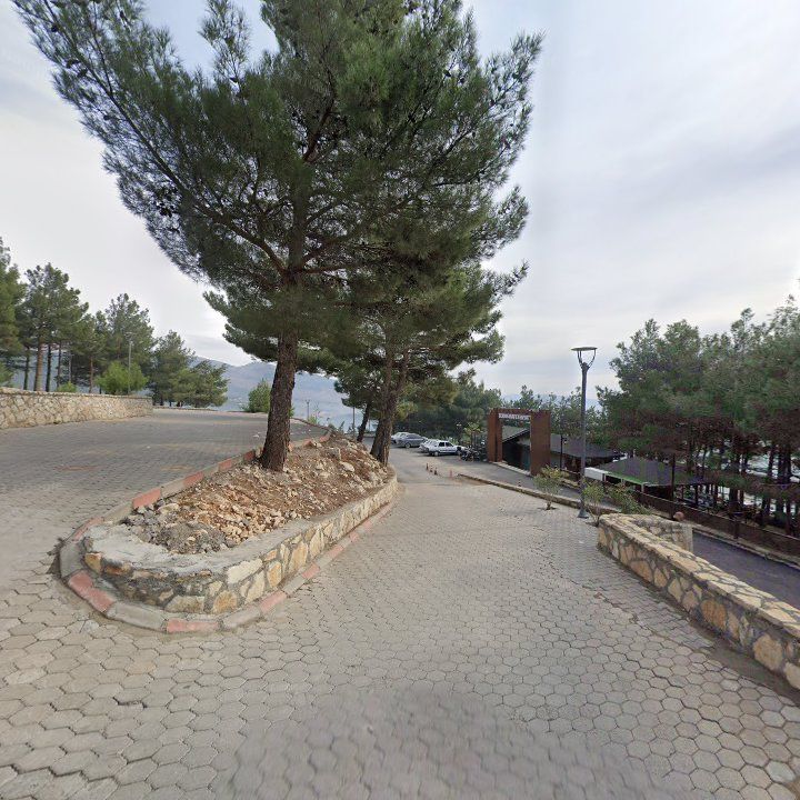 Fotoğraf 12