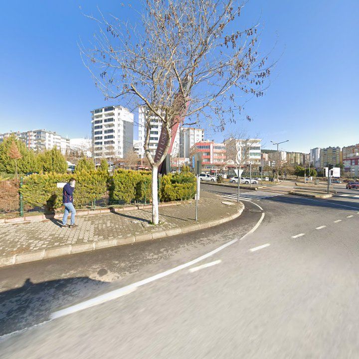 Fotoğraf 10