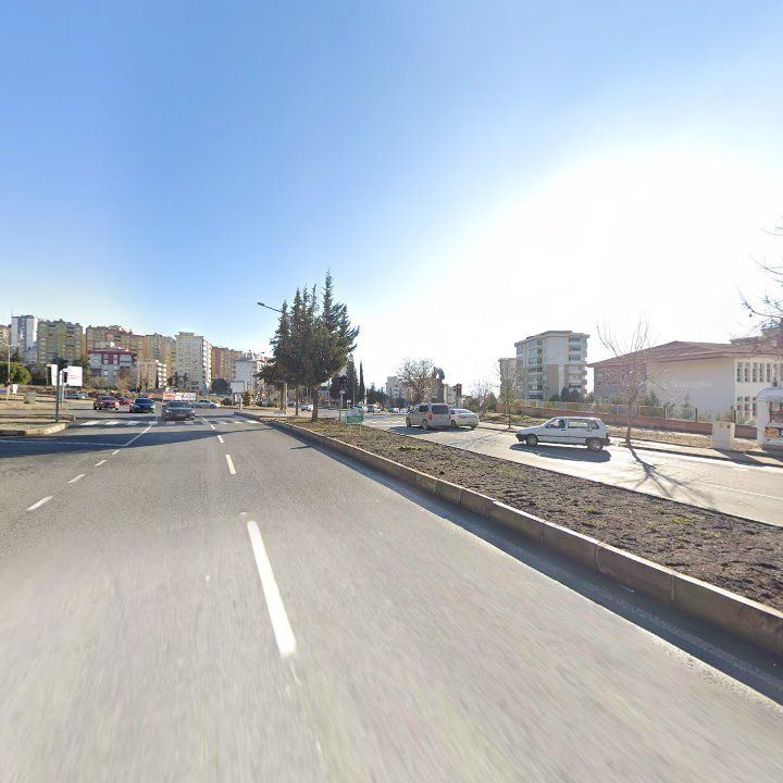 Fotoğraf 11