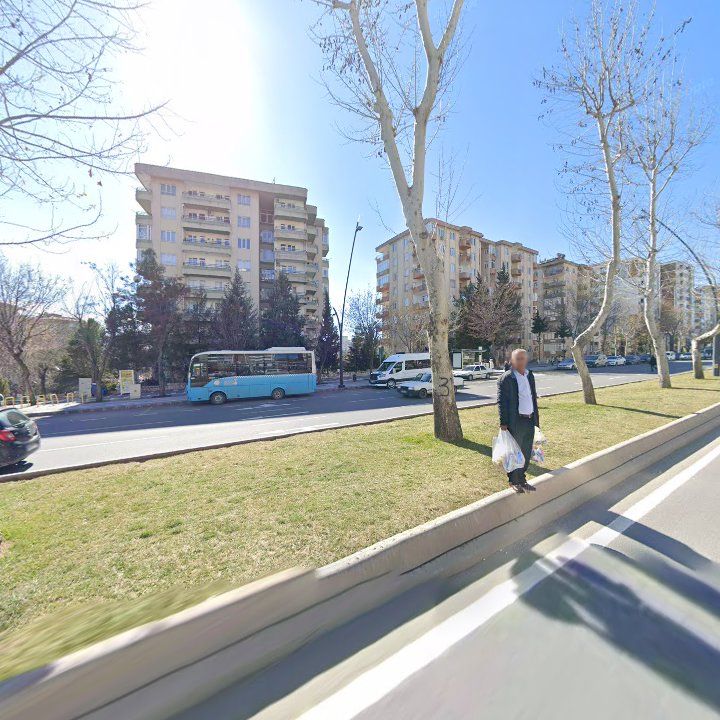 Fotoğraf 6
