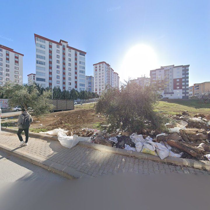 Fotoğraf 9