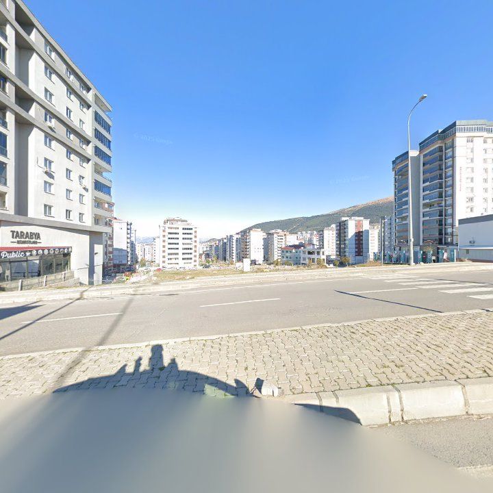 Fotoğraf 12