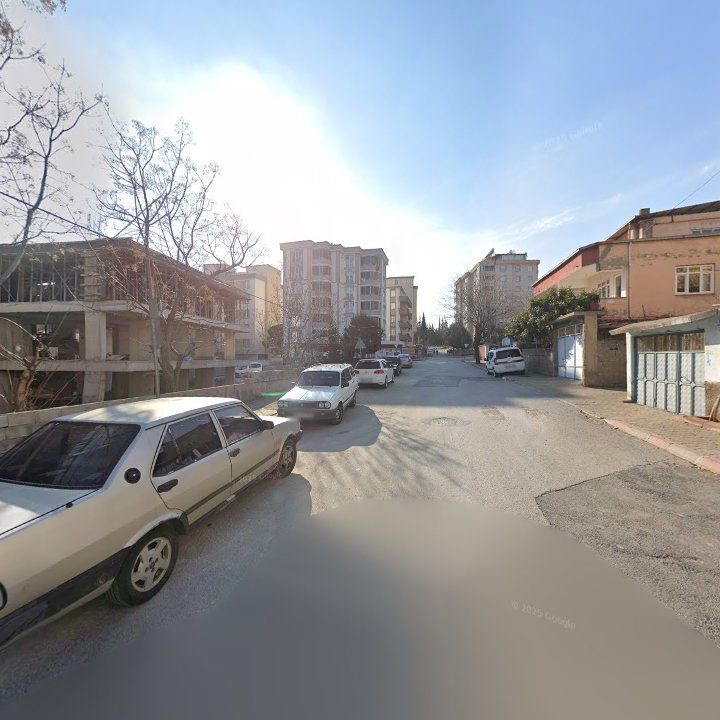 Fotoğraf 7