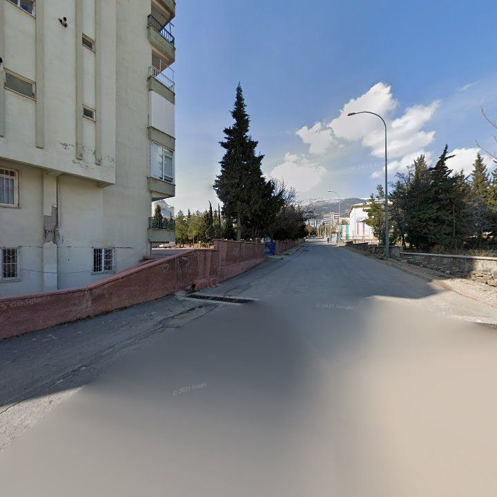 Fotoğraf 6