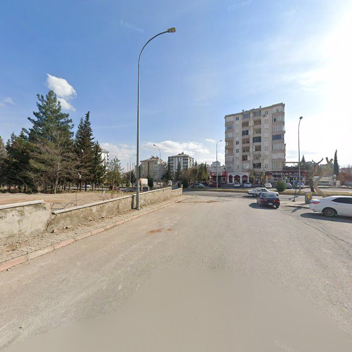 Fotoğraf 8