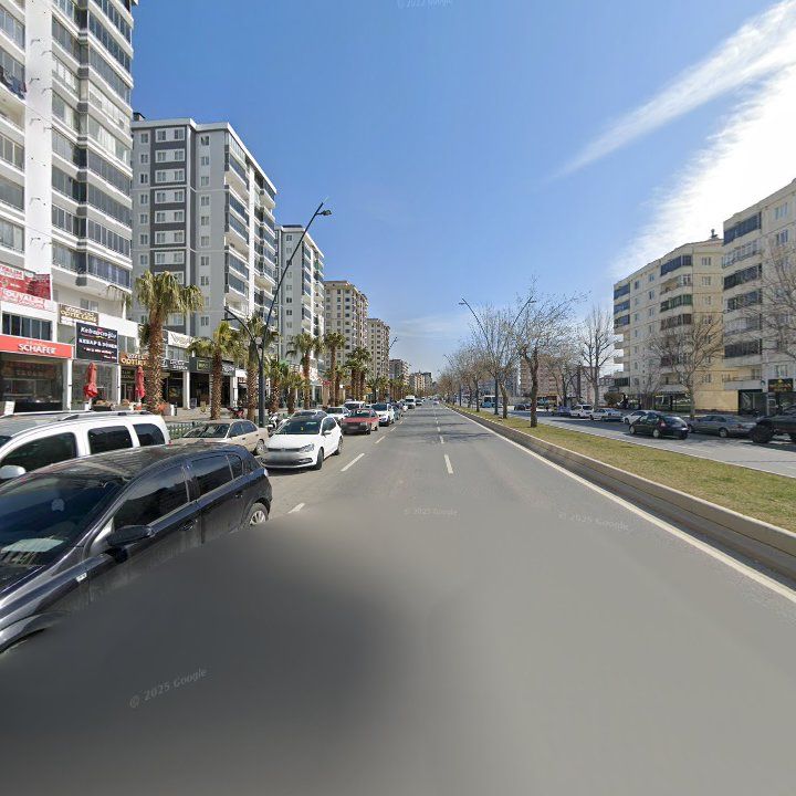 Fotoğraf 11