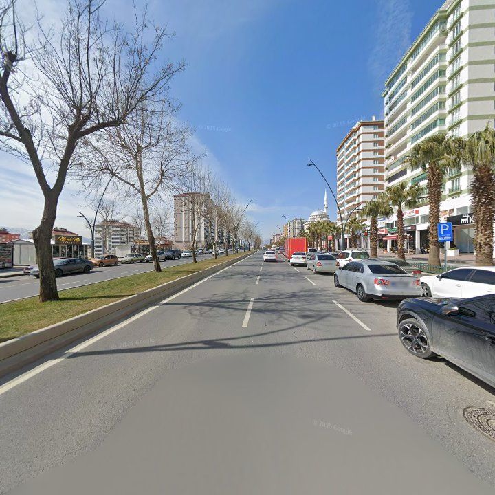 Fotoğraf 13