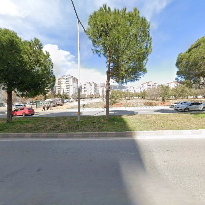 Fotoğraf 6