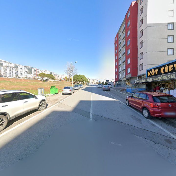 Fotoğraf 9