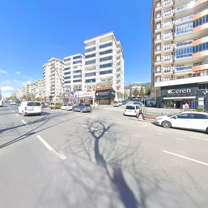 Fotoğraf 11