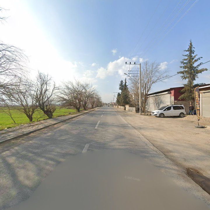 Fotoğraf 7