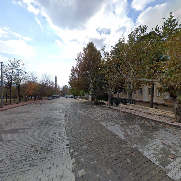 Fotoğraf 8