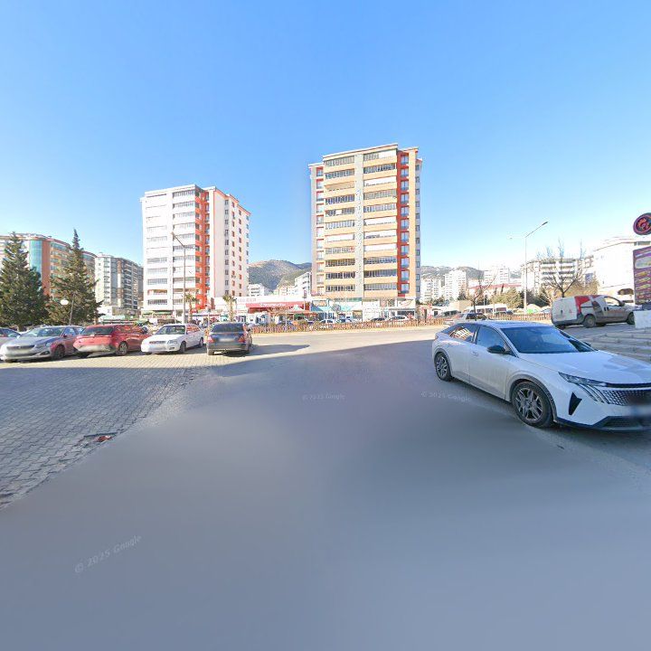 Fotoğraf 13