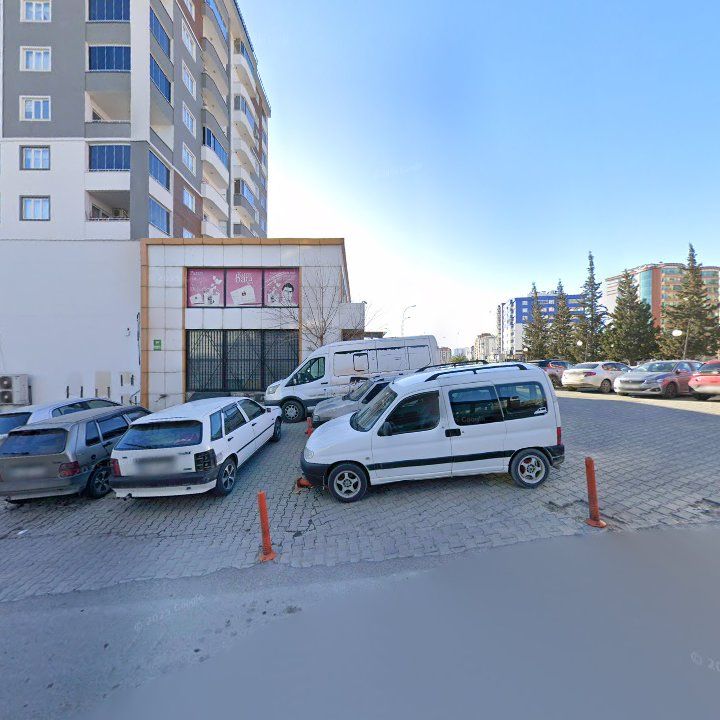 Fotoğraf 12
