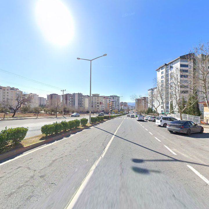 Fotoğraf 11