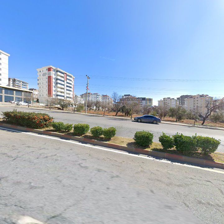 Fotoğraf 10