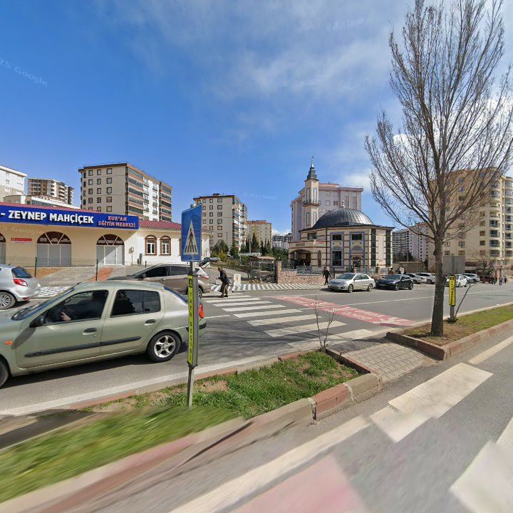 Fotoğraf 8
