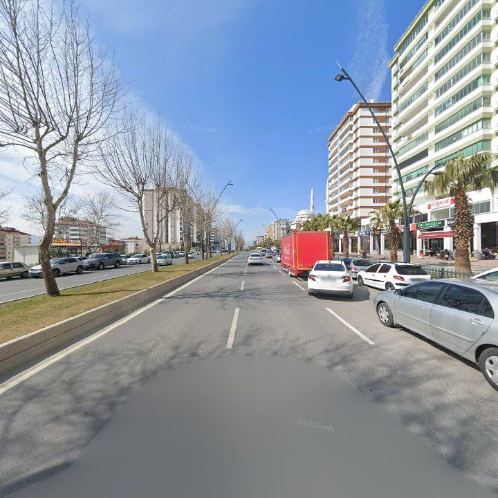 Fotoğraf 12
