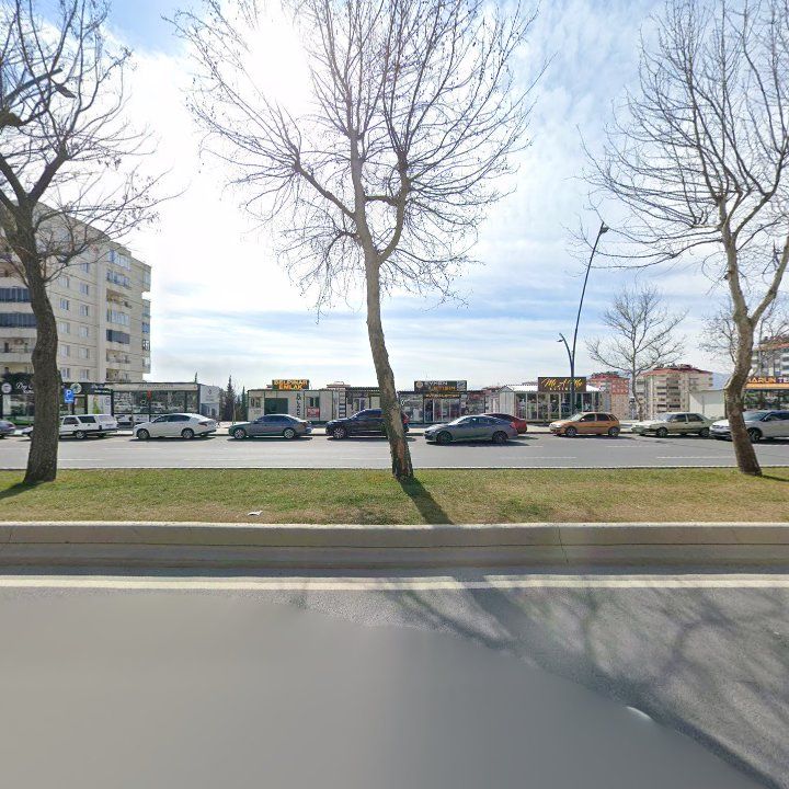 Fotoğraf 11