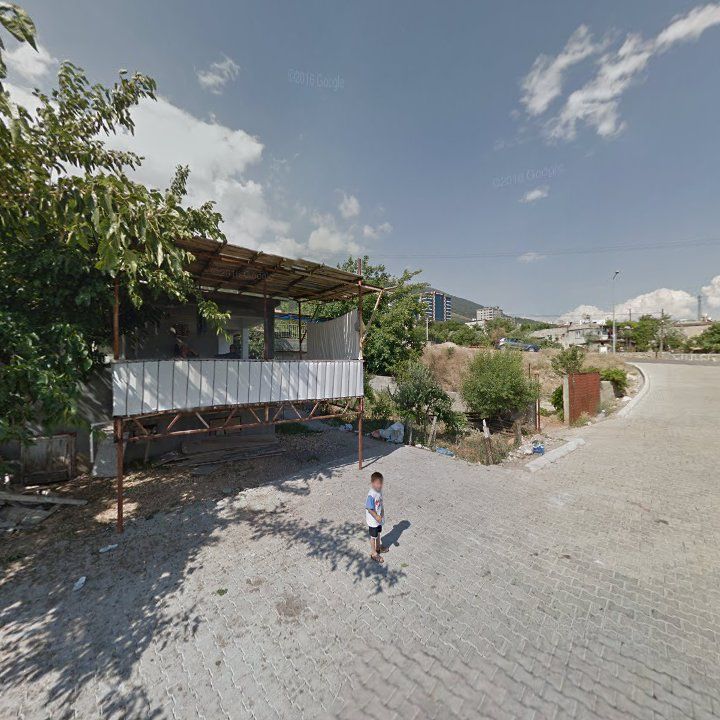 Fotoğraf 5