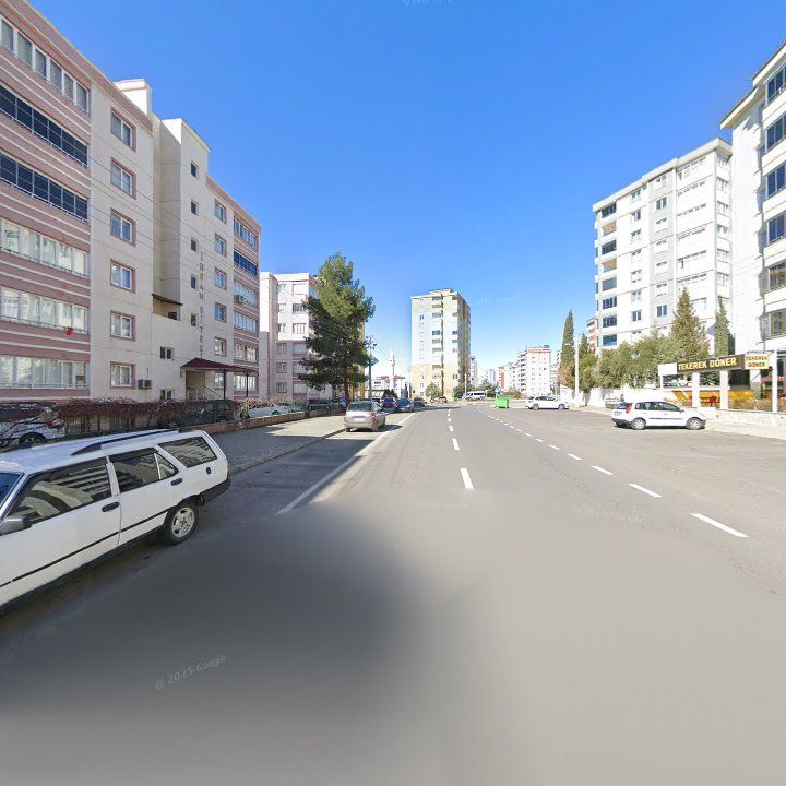 Fotoğraf 12