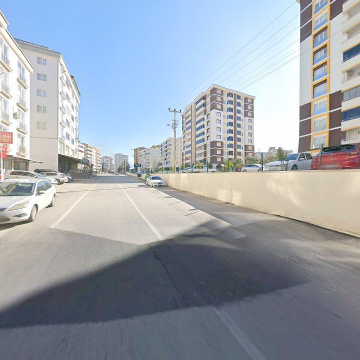 Fotoğraf 6