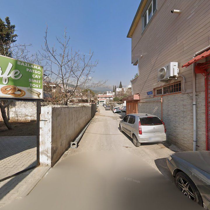 Fotoğraf 7