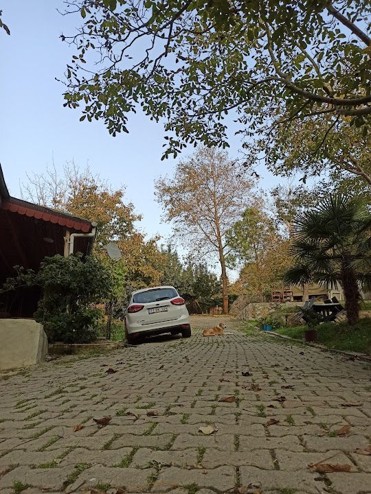 Yorum fotoğrafı 2