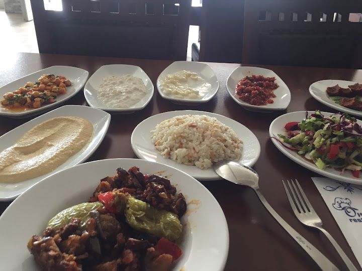 Fotoğraf 19