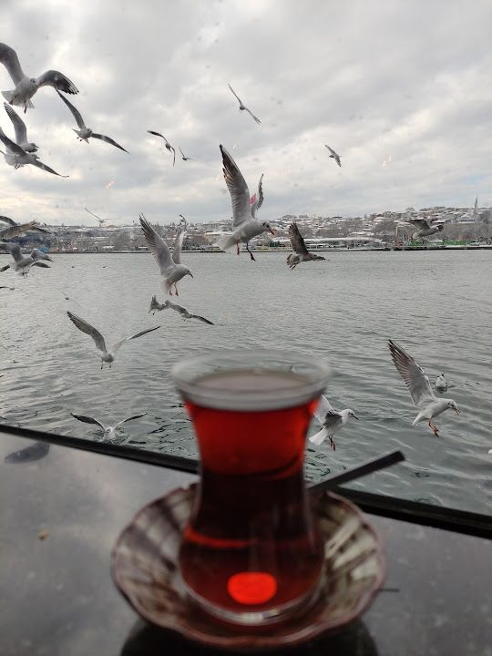 Fotoğraf 35