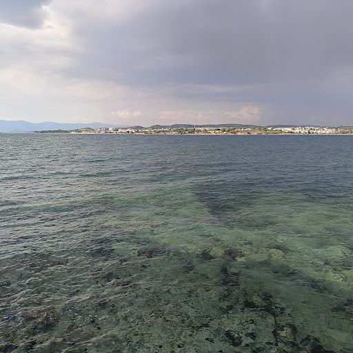 Fotoğraf 13