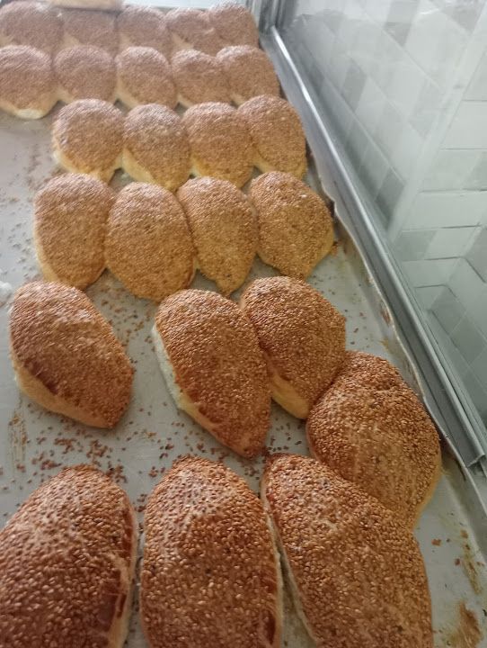 Fotoğraf 13