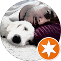 onur özlü