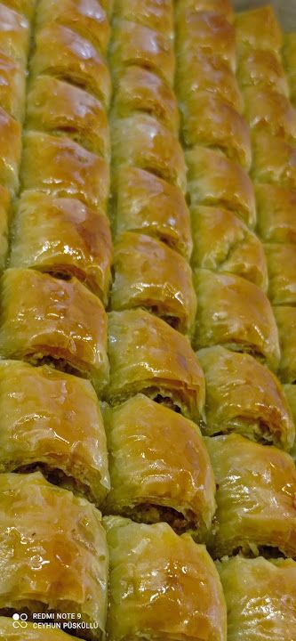 Fotoğraf 13