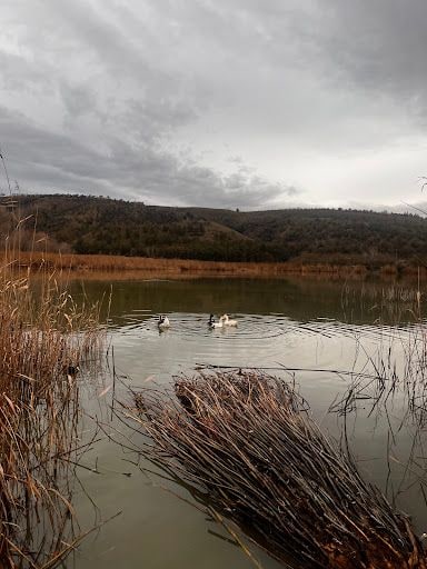 Yorum fotoğrafı 4