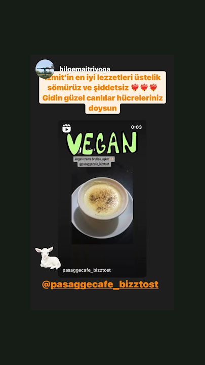 Fotoğraf 12