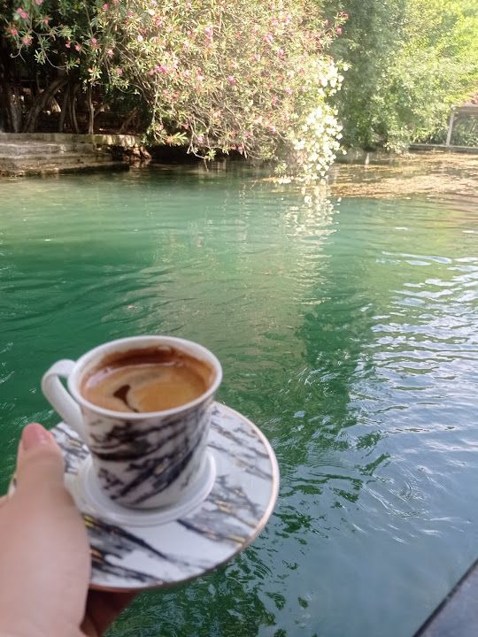 Fotoğraf 15