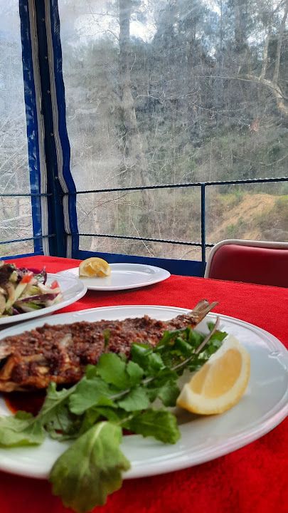 Fotoğraf 19