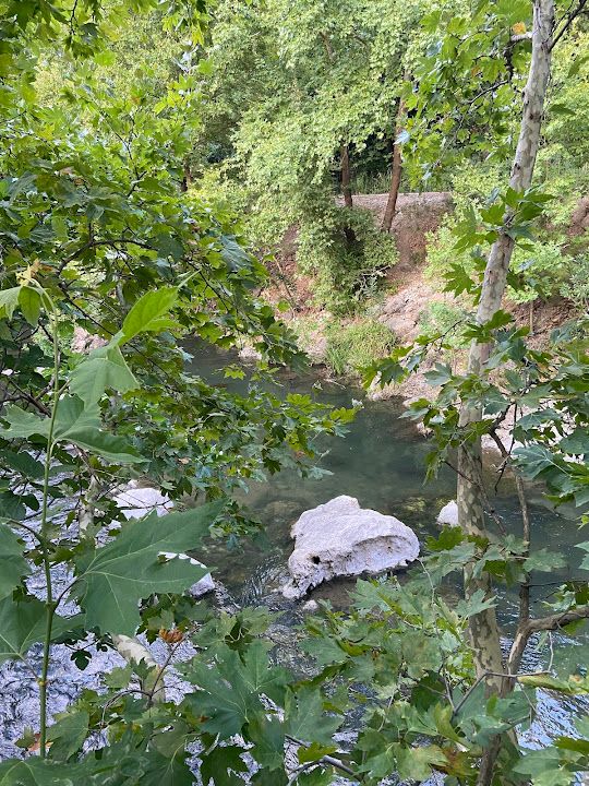 Yorum fotoğrafı 4