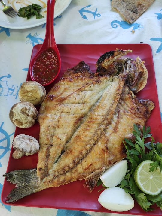 Fotoğraf 19
