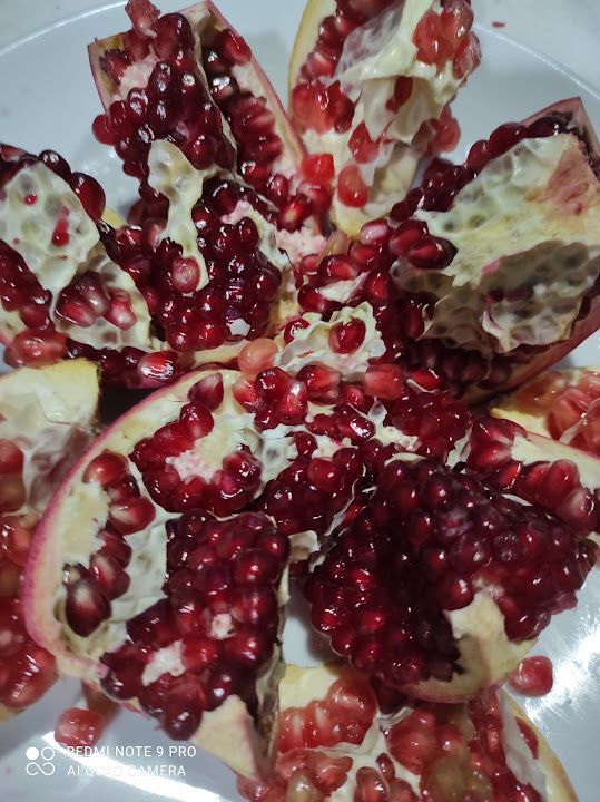 Fotoğraf 28
