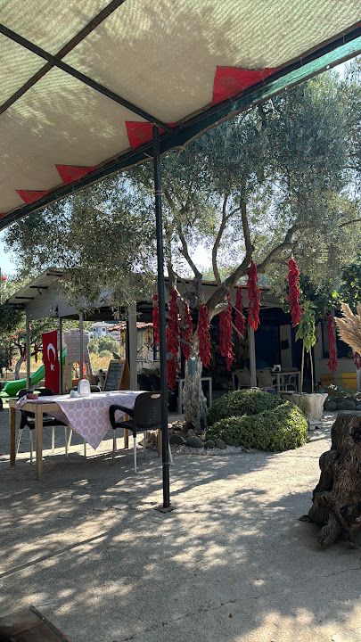 Yorum fotoğrafı 2