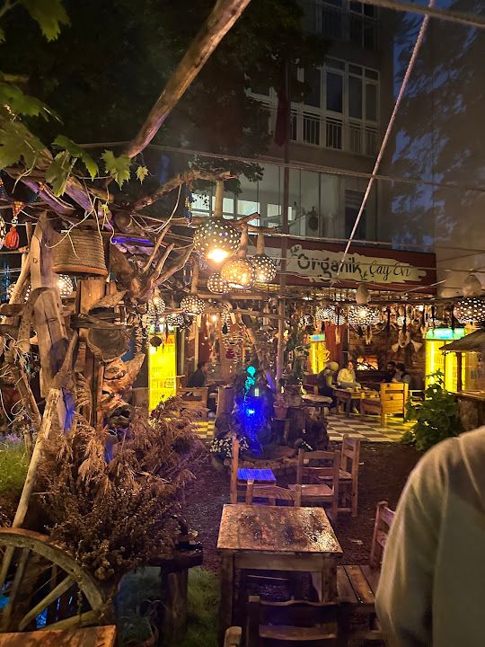 Yorum fotoğrafı 2