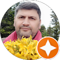 Orhan